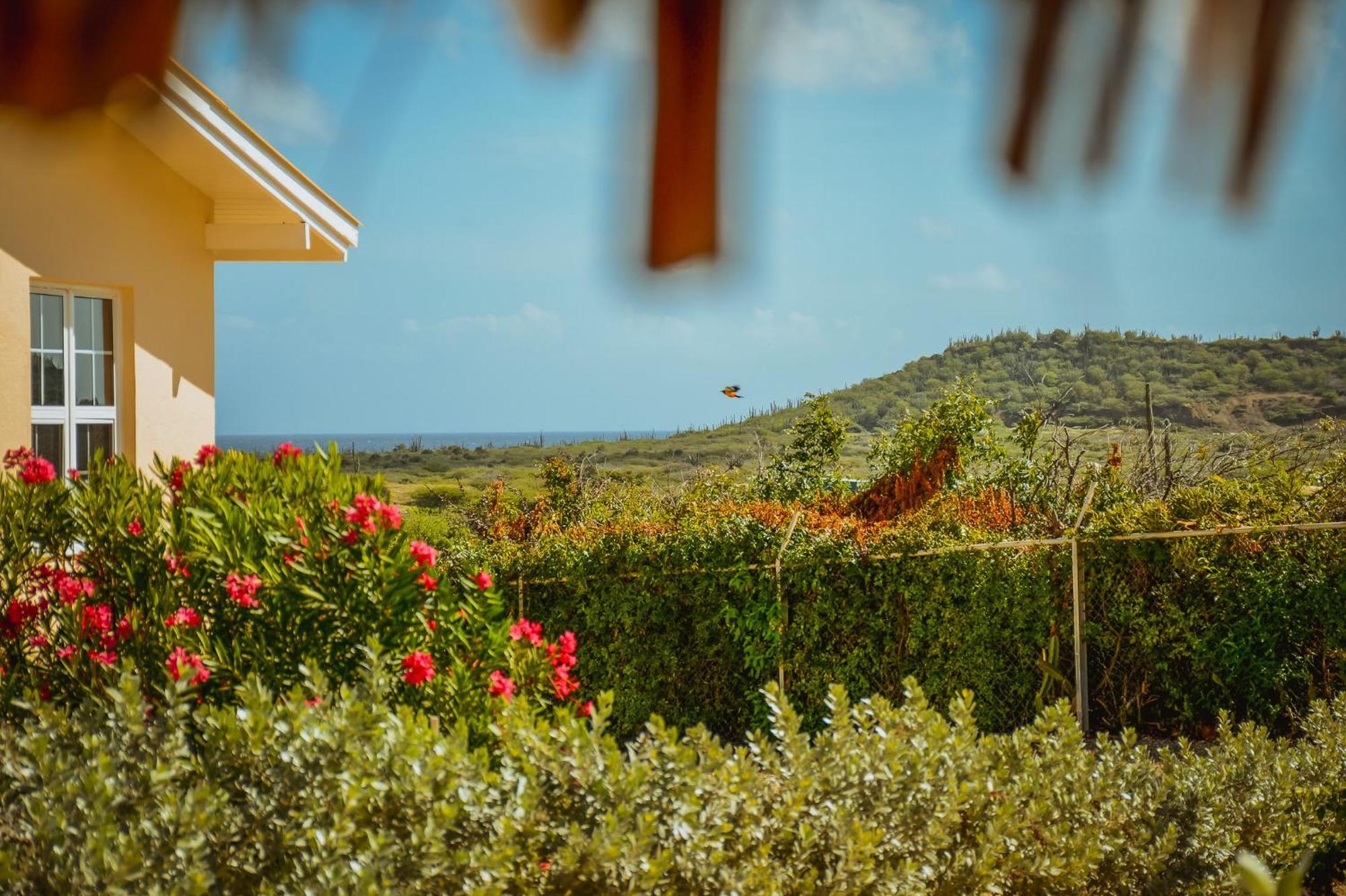 Santa Catharina Resort - Casa Samson Віллемстад Екстер'єр фото